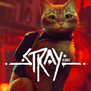 Stray